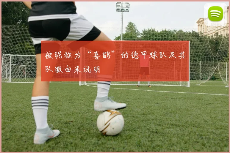 被昵称为“喜鹊”的德甲球队及其队徽由来说明