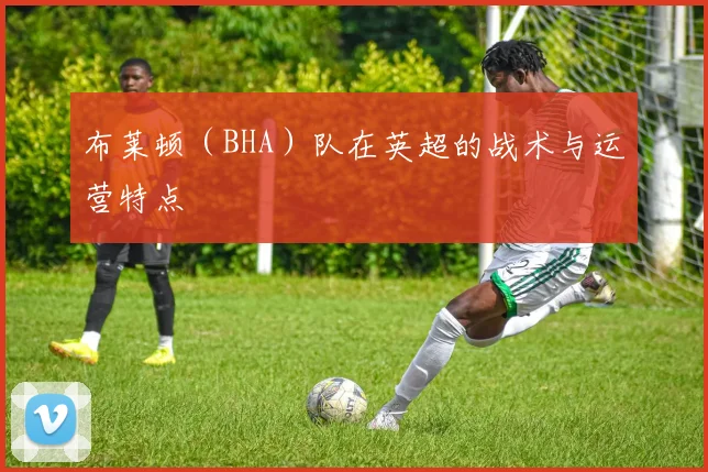布莱顿（BHA）队在英超的战术与运营特点
