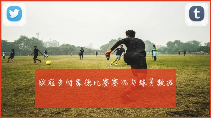 欧冠多特蒙德比赛赛况与球员数据