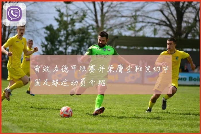 曾效力德甲联赛并荣膺金靴奖的中国足球运动员介绍