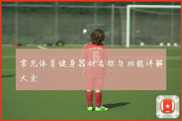 常见体育健身器材名称与功能详解大全
