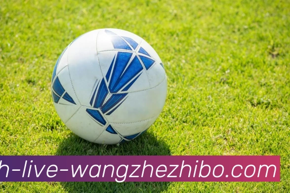 王者体育发展历程