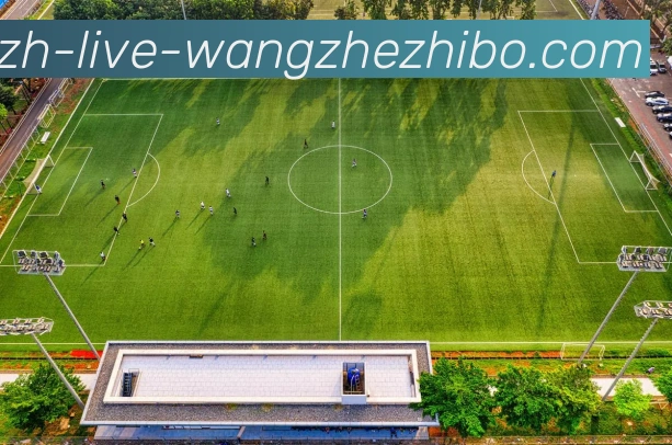 天津权健足球队在中超联赛中的表现及历程