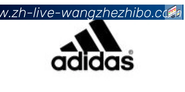 王者体育合作伙伴